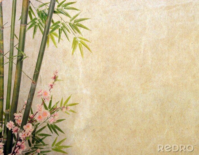 Sticker bamboe op oude grunge papier textuur achtergrond