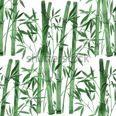 Sticker Bamboe op witte achtergrond Handgeboorde waterverf naadloze illustratie.