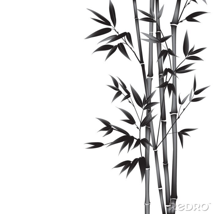Sticker Bamboe schiet minimalistische zwart-wit afbeelding