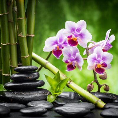 Bamboe stenen en orchideeën