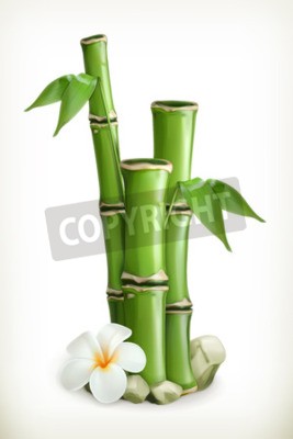 Sticker Bamboe, vector icoon