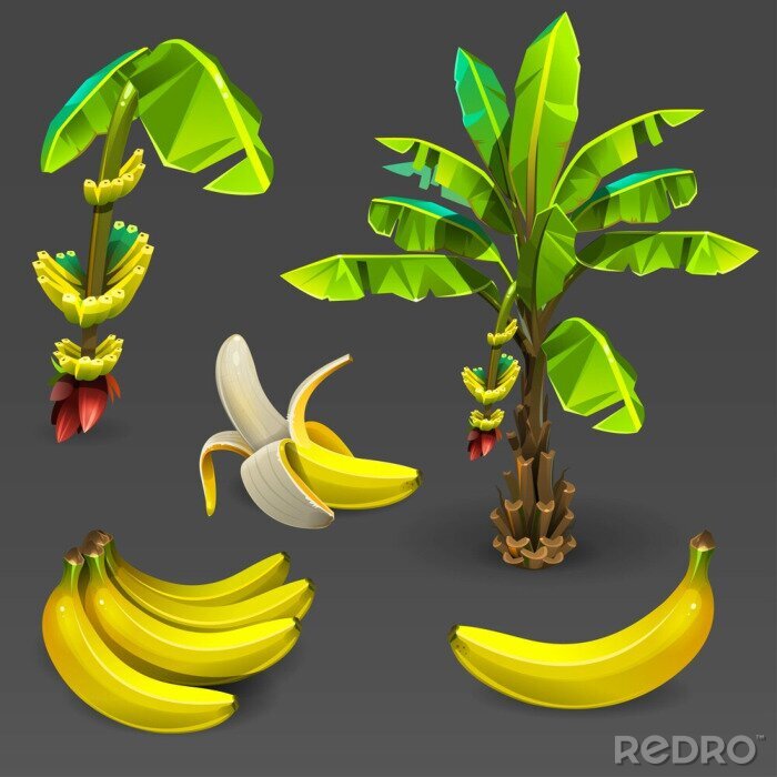 Sticker Bananen en bananenbomen