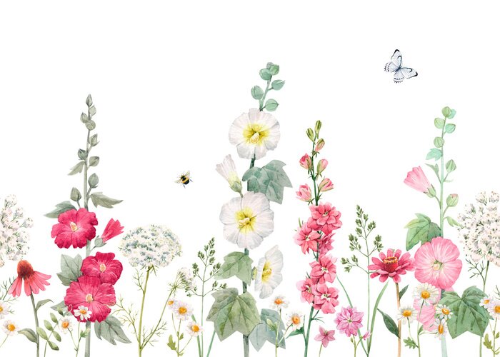 Sticker Beautiful horizontal seamless floral pattern with watercolor summer mallow flowers. Stock illustration.