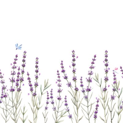 Sticker Beautiful seamless floral provence pattern with watercolor hand drawn gentle lavander flowers. Stock illustration.