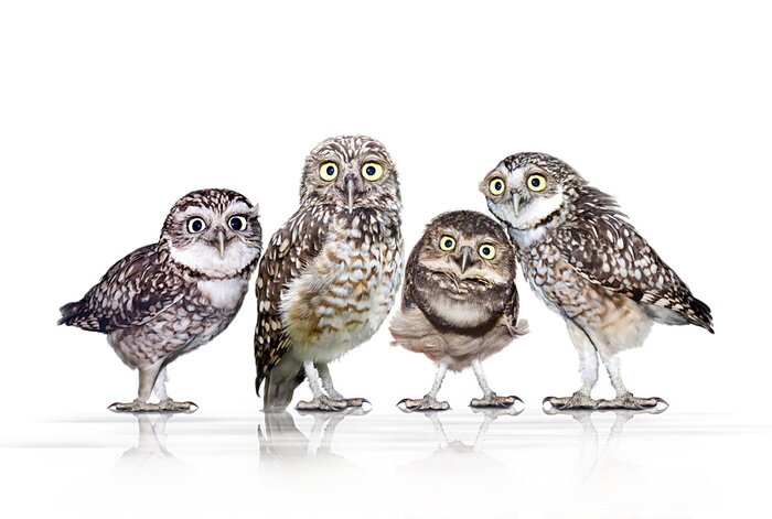 Sticker Bent u op zoek naar