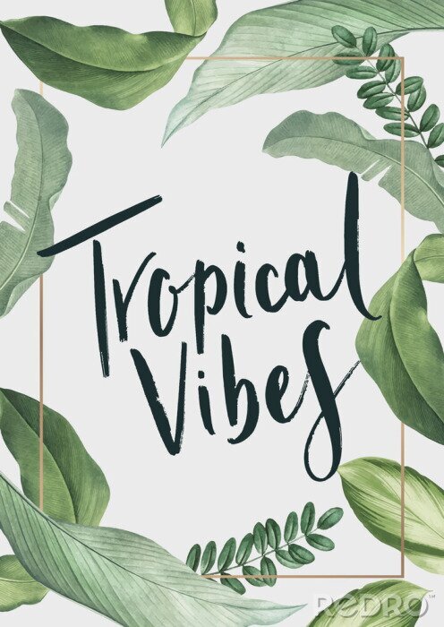 Sticker Bergamot sinaasappelvruchten bloemen en bladeren