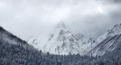 Bergen en natuur in de winter