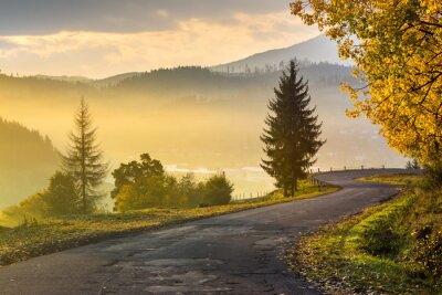 Bergweg in de ochtend