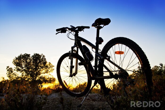 Sticker Bicicleta de montaña en el paisaje