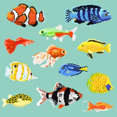 Sticker Big set of pixel exotic fish isolated on a blue background.