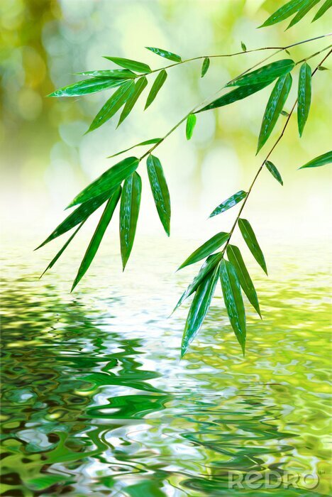 Sticker blad van bamboe