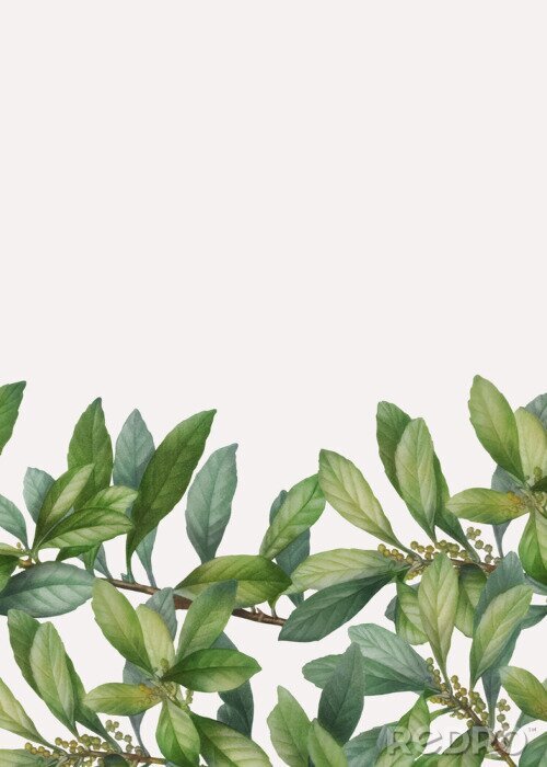 Sticker Bladeren en bladknoppen aan twijgen