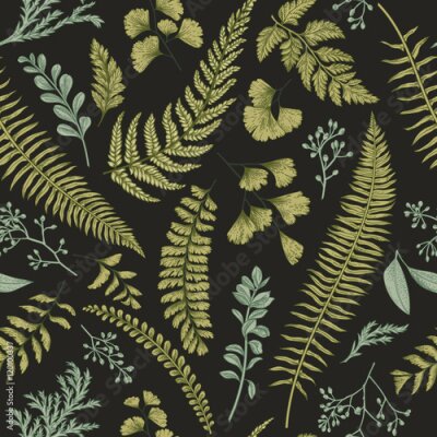 Bladeren van bosplanten