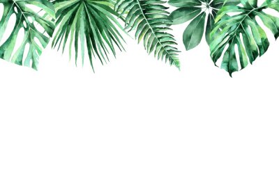 Sticker Bladeren van tropische planten op een witte achtergrond