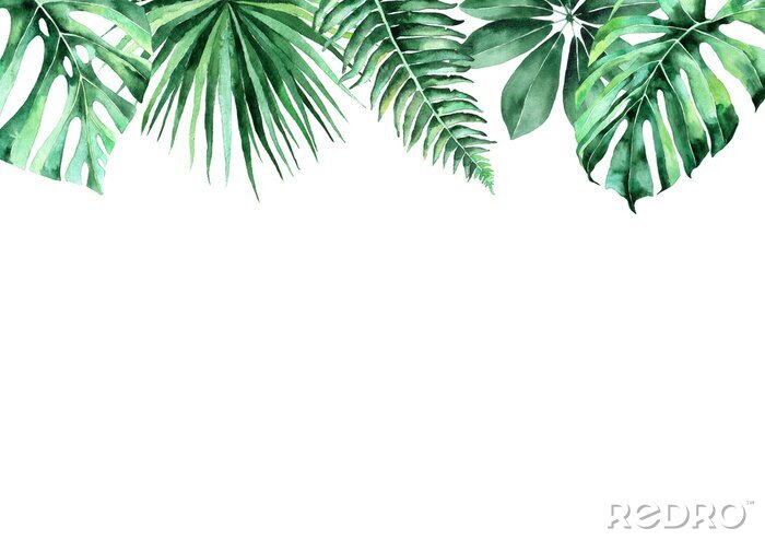 Sticker Bladeren van tropische planten op een witte achtergrond