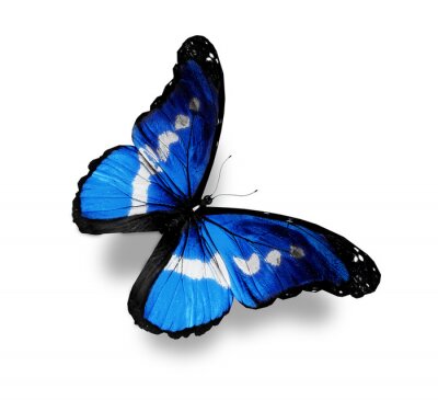 Sticker Blauwe vlinder met witte stippen