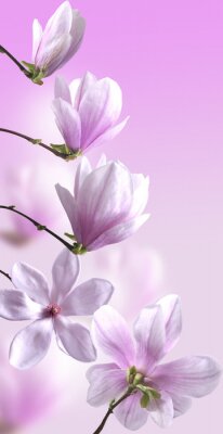 Sticker Bloei in verschillende stadia