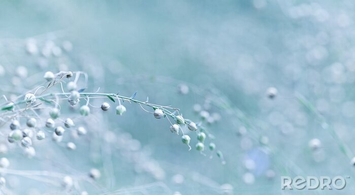 Sticker Bloeiend vlas