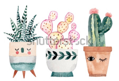 Sticker Bloem in de pot en twee cactussen