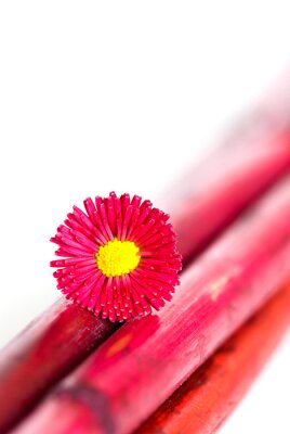 Sticker Bloem op een rode steel