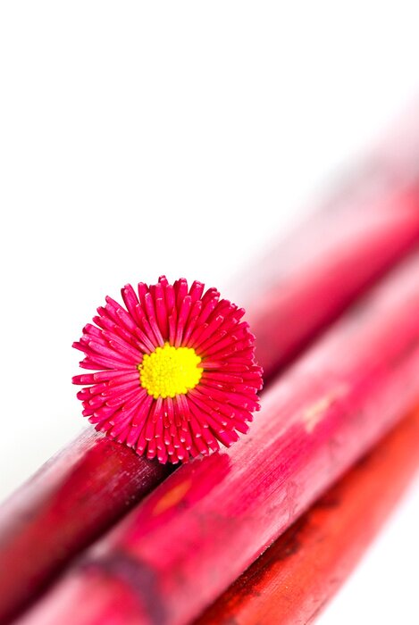 Sticker Bloem op een rode steel