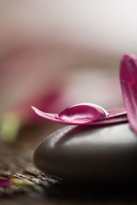 Sticker Bloemblaadjes