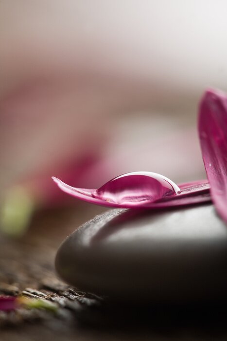 Sticker Bloemblaadjes