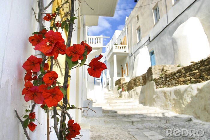 Sticker bloemen op een Mukonos straat