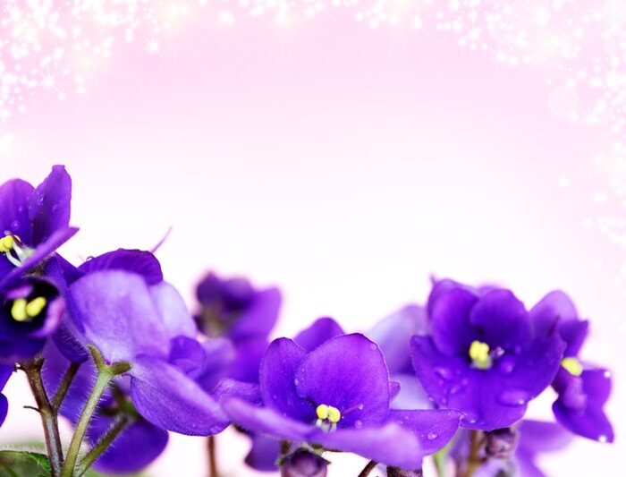 Sticker Bloemen op een poederroze achtergrond