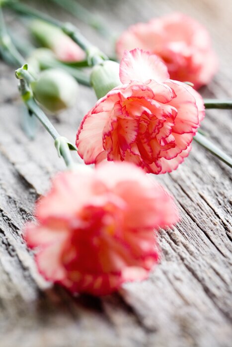 Sticker Bloemen op oude planken