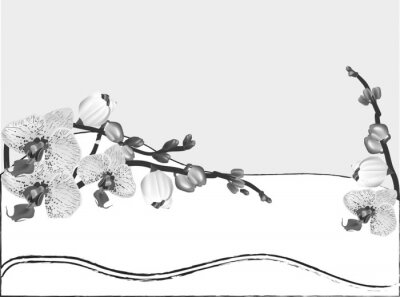 Sticker Bloemen op zwart-wit afbeelding