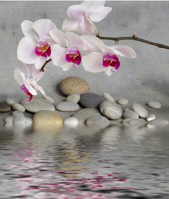 Bloemen, water en stenen