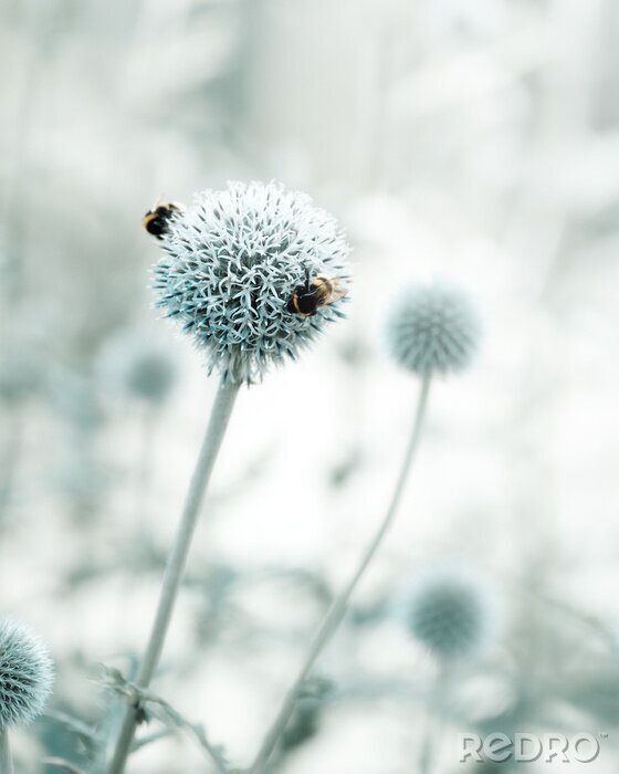 Sticker Bloemmotief en natuur