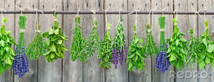 Sticker Boeketten tuinkruiden