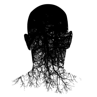 Sticker Bomen gegraveerd in de omtrek van het hoofd van een man