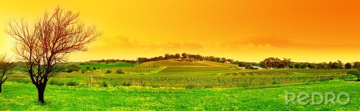 Sticker Bomen op een panoramisch landschap