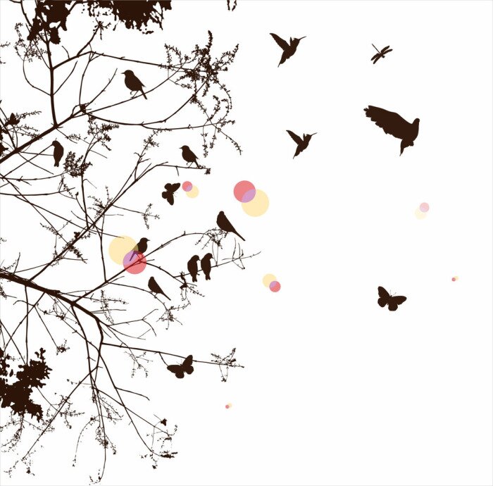 Sticker boom en vogel