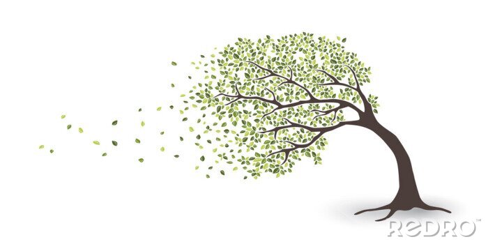 Sticker Boom in de wind