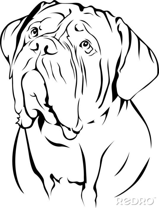 Sticker Bordeauxdog - Portret