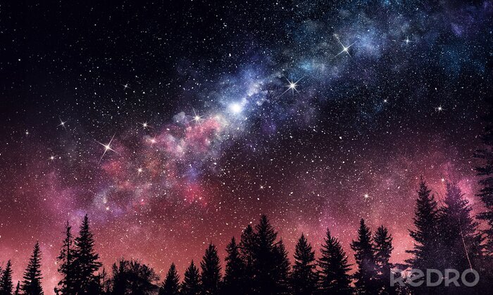 Sticker Bos en sterrenhemel &#39;s nachts