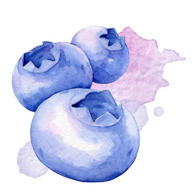 Sticker Bosbessen. Illustratie van de waterverf