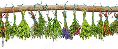 Bosjes kruiden hangen aan een boomtak