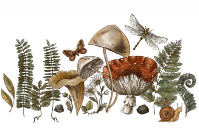 Sticker Bospaddestoelen