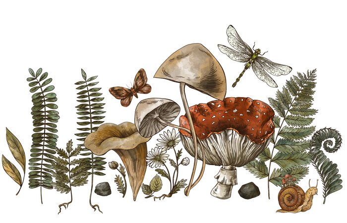 Sticker Bospaddestoelen