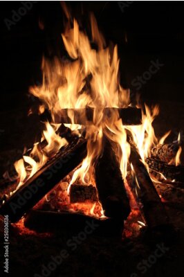 Sticker Brandend hout in de open haard