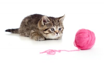Sticker Britse katje spelen rode clew of bal geïsoleerde