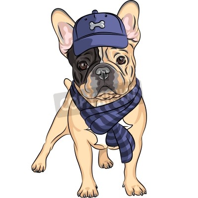 Sticker Bulldog in een sjaal en pet