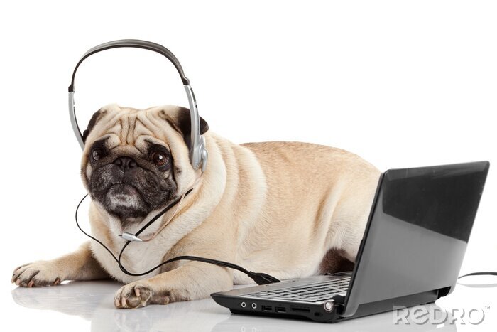 Sticker call center agent. pug hond telefonist
