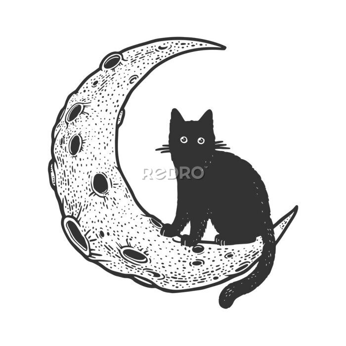 Sticker Cartoon cat on Moon sketch engraving vector illustration. T-shirt apparel print design. Scratch board imitation. Black and white hand drawn image.