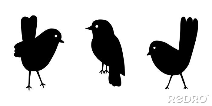 Sticker Cartoon style vector illustration of balck and white bird set template. Great design elements for sticker, card, print, poster, other design. Unique and fun drawing icon isolated on white background 